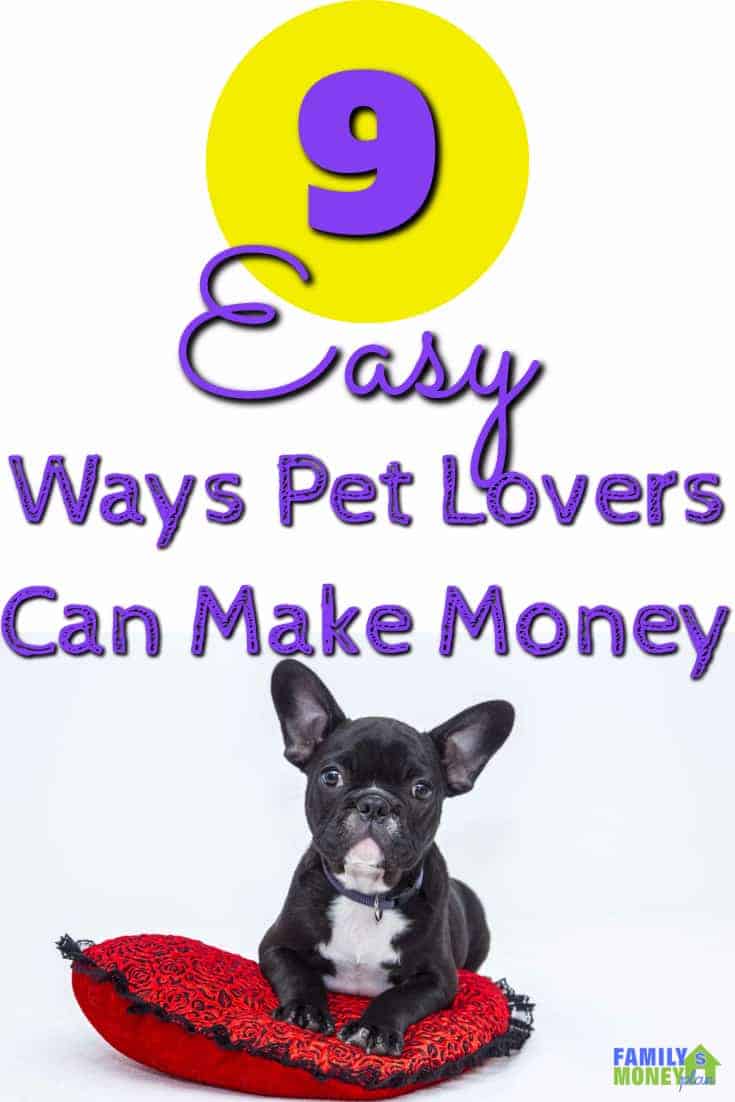 If you love pets you can turn that love into some extra money. Here are some easy ways to make money with your (or other people's) pets | Making Money | Pets |Side Hustle | Extra jobs | #makingmoney #earnmoney