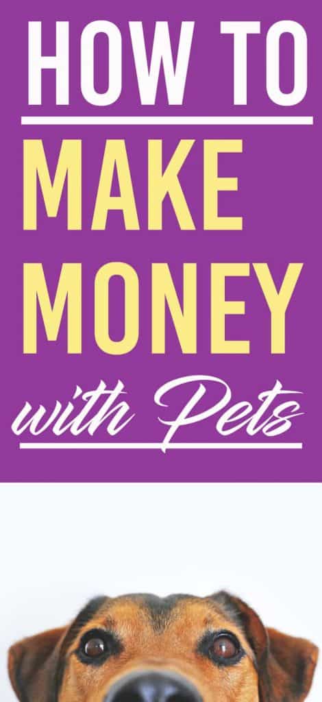 how to make money with dogs