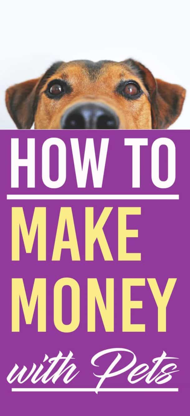 Online Job To Earn Money Without Investment 10 Incredibly Cool Ways to Make Money With Pets
