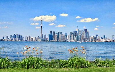 7 Proven Ways To Make Money In Toronto Right Now