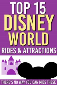 disney world rides