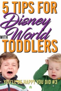 disney world with toddlers