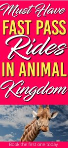 Here is a list of the Must Have Fast Pass Rides in Disney World's Animal Kingdom. The first one you need to book as far in advance as you can. |Animal Kingdom | Disney World | Rides | Fast Pass |