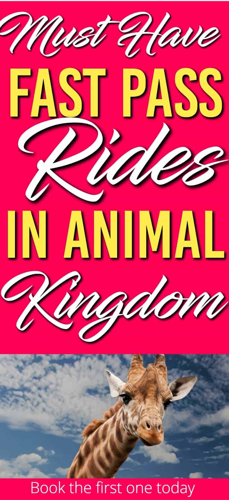 Top 7 Animal Kingdom FastPass+ Rides | April 2022