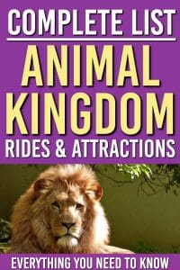 The Complete Guide to Disney World's Animal Kingdom Rides and Attractions. Everything YOU need to know about the rides you can go on in Animal Kingdom and which ones are worth the wait!
