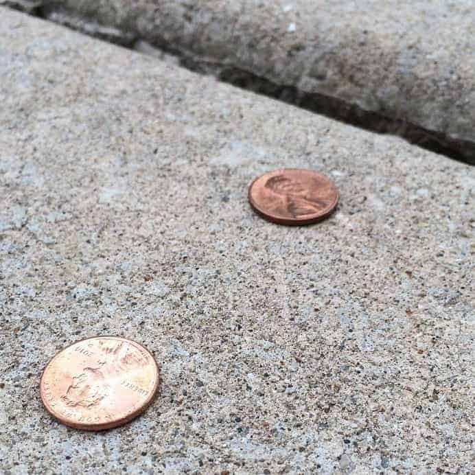 Penny