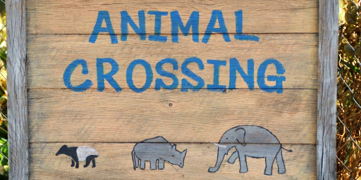 The Best Gifts For Animal Crossing Fans June 2024